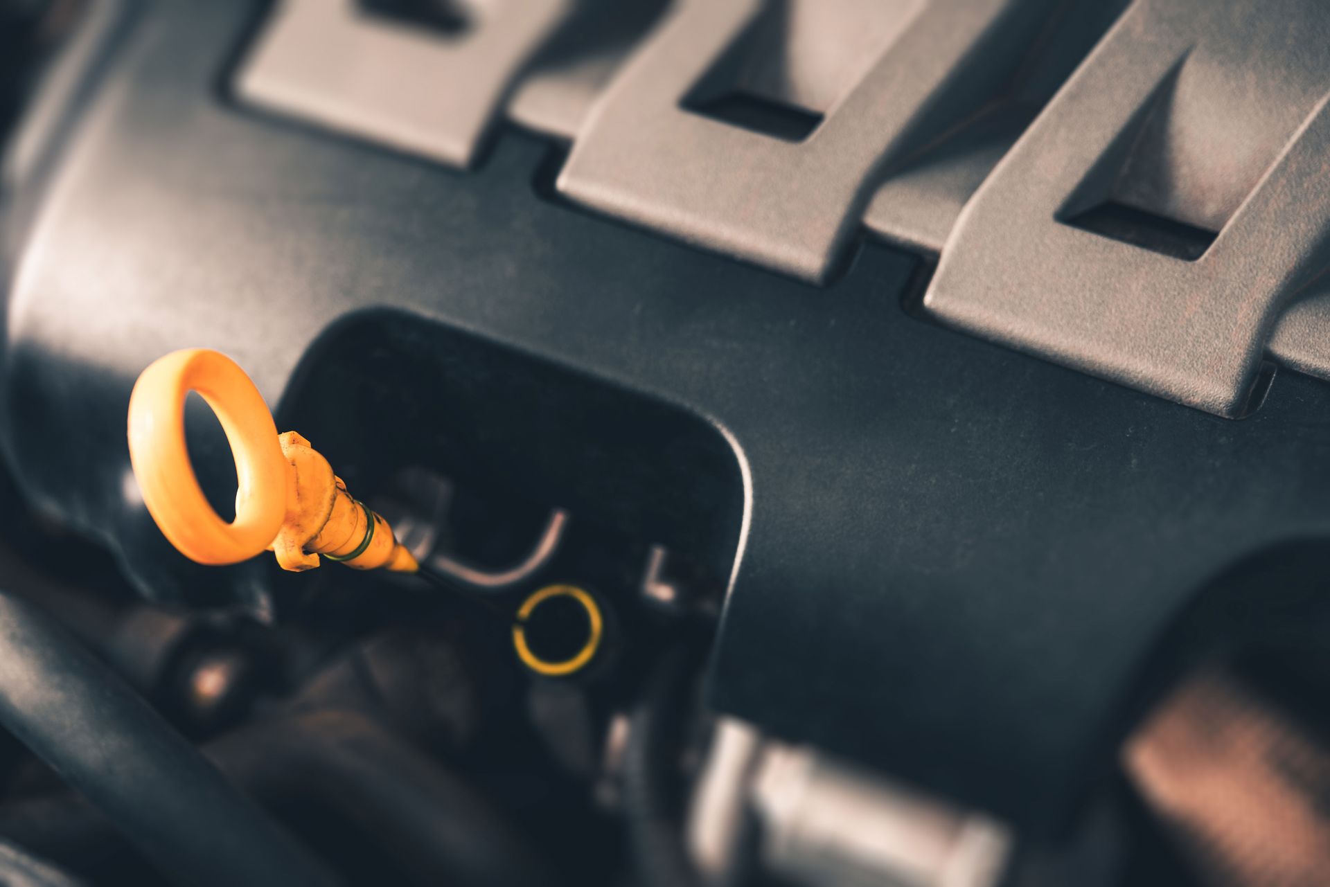 Expert Oil Change Process